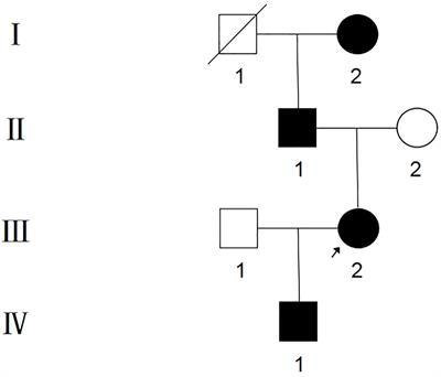 Case Report: A Case of Hereditary Gingival Fibromatosis With a High Level of Human β Defensins in Gingival Epithelium